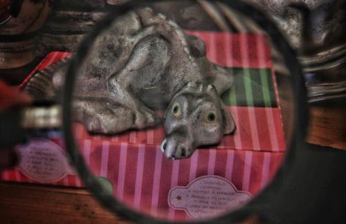 The Wizards Cauldron -Harry Potter Themed - Foto 40