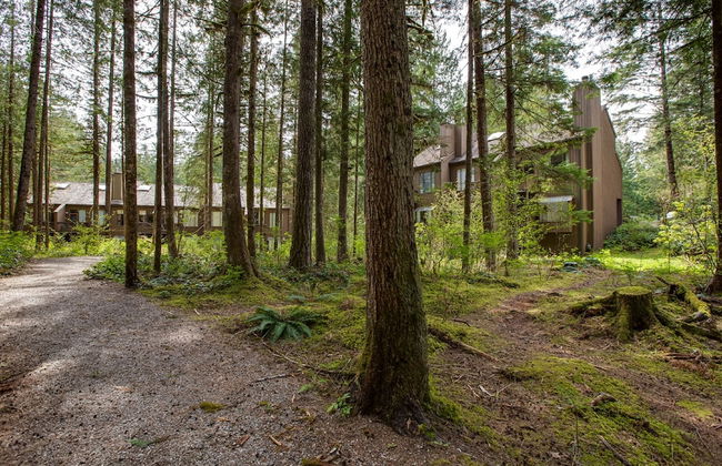 14SW - Fireplace - Dishwasher - Washer/Dryer - Sleeps 6 - Foto 12