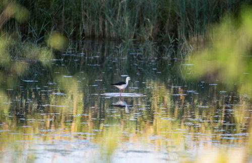 Agriturismo Ai Due Leoni - Foto 98