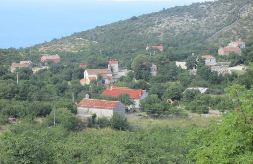 Holiday Home Botanica - Foto 56