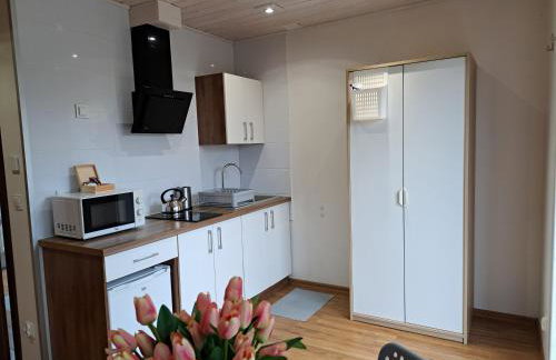 Noclegi Pod Modrzewiem - Foto 9