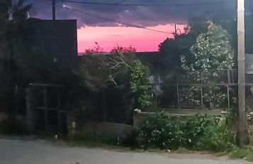 Pandera areopoli - Foto 16