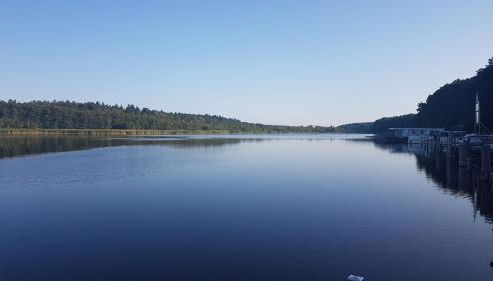 Hausboot Mirabella am Müritz Nationalpark Festanliegend - Foto 2