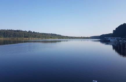 Hausboot Mirabella am Müritz Nationalpark Festanliegend - Foto 2