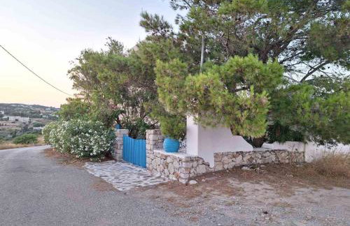 Windmill Studios - Foto 68