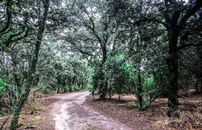 Tour in Alpedrete - Foto 6