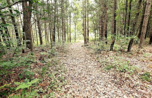 Dog-friendly 6-acre 5BR 3BA home, game room, deck, Wisconsin Dells 10min - Foto 48