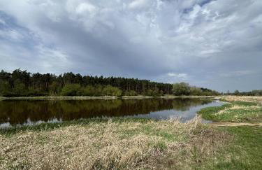 Domek w lesie - Photo 20