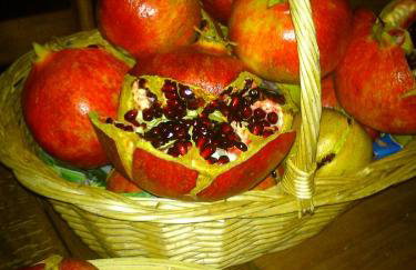 Helena Apartments - Foto 43