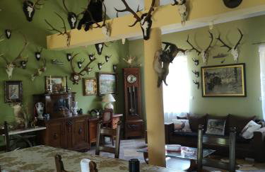 Oaza spokoju - Foto 23