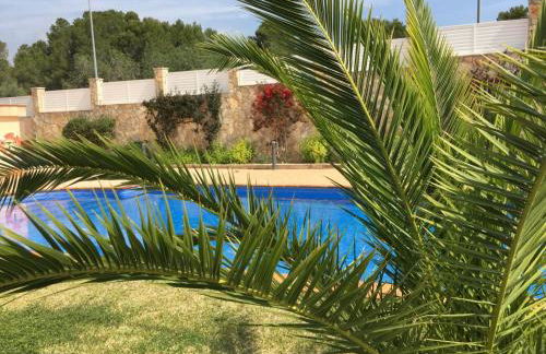 Turó de Tjelle - Foto 13