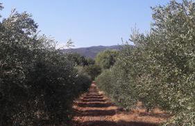 OUSTAOU DU GAYET gîte de charme avec piscine privée - Foto 41