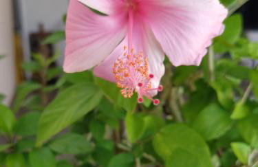 Estilo resort para confraternizar com hidro, piscina, garagem em casa tudo privativo, insira acima de 6 hóspedes para usar os 3 quartos - Photo 34