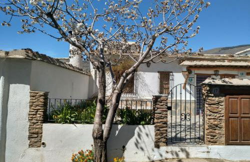 Casas Rurales Encarnita - Foto 65