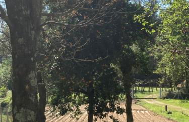 Casa da Assudra - Foto 51