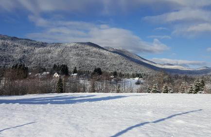 Kuća za odmor - Agatha - Bjelolasica - Foto 49