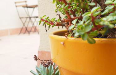 Apartaments la Rambla - Arbequina - 6 persones - Foto 30