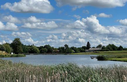 W Kręgu Natury - Foto 55