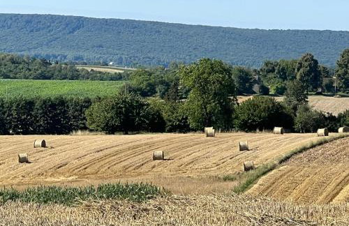 W Kręgu Natury - Foto 41