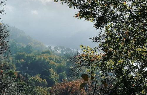 Gerês - Refúgio das Laranjeiras - Foto 9