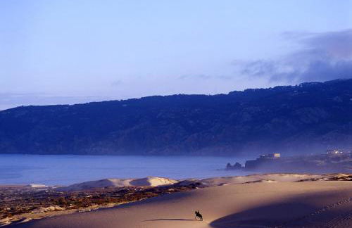 The Shelter - Foto 37