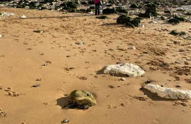 Cosy 2 Bedroom House -2023, 2024 &2025 award winner! - Foto 36