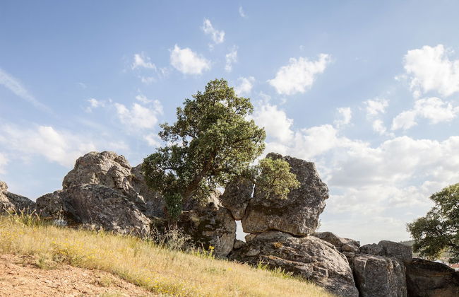 Monte da Esperança - Photo 28