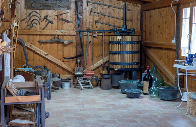 Su Leunaxiu - Foto 14