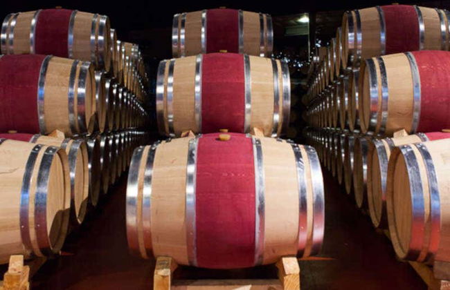 Visita a las bodegas Marqués de Cáceres - Foto 4