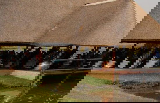 Francolin Creek - Foto 34