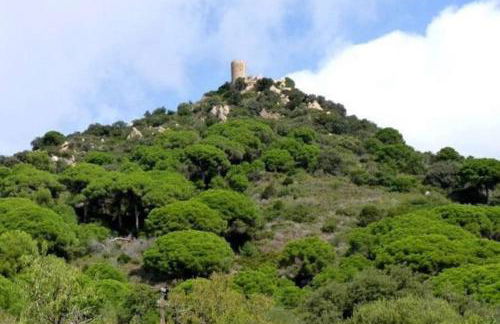 Apto en la playa a 20 min en tren de Barcelona - Foto 41