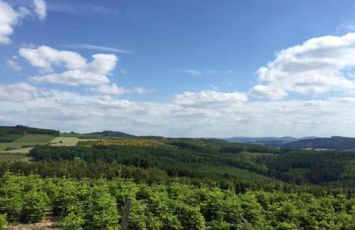 Holiday home in Ramsbeck with garden - Foto 34