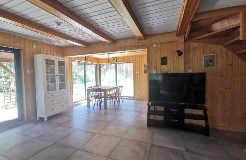 Leśne Wspomnienia - Foto 20