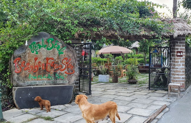 Ninh Binh bamboo - Foto 1