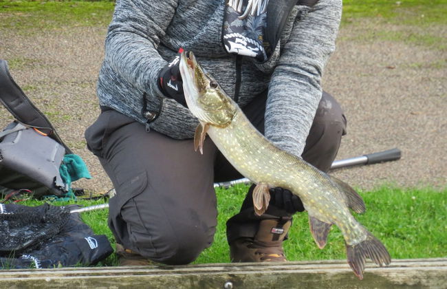 Riverside 2-bed Cottage, Sleeps 3 With Parking - Foto 21