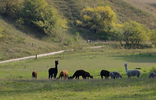 4 Person Holiday Home in Skibby - Foto 5