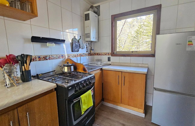 Oceana Suites Corralco - Photo 16