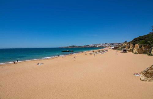 Barracuda A14 - Foto 17