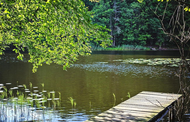 Bungalow by Wiselka Lake & Baltic Beach - Photo 18