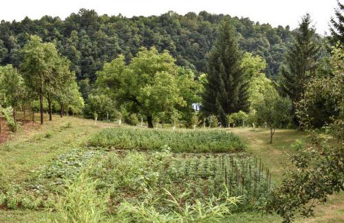 House Narta - Rastoke - Foto 19