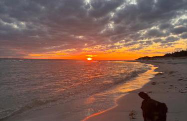 Domki pod orzechem - Foto 31