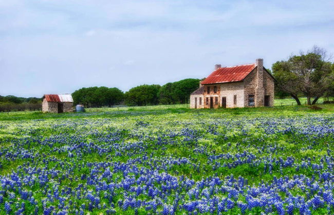 Visite à Texas Hill Country - Photo 1