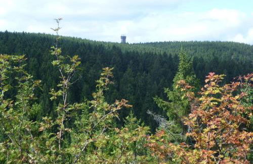 Family Theermann - Foto 19