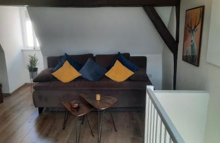 Altstadthäuschen mit charm , nähe Heidelberg castle, Neckarufer - Photo 7