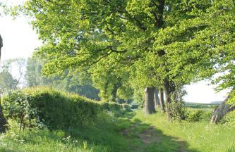 Off the Rails - Foto 11