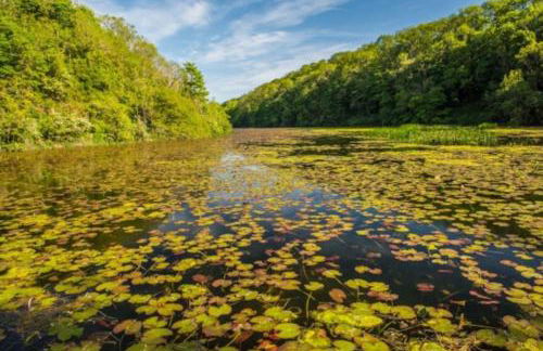 Green Shutters PembrokeshireBeachHouse - Foto 61