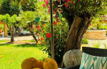 Casita Limón Andratx - Foto 4