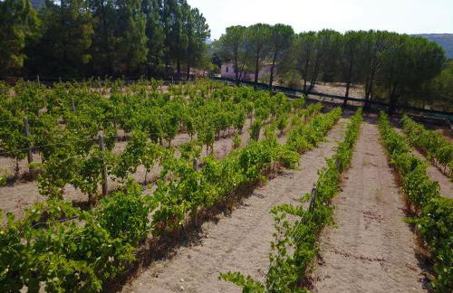 Résidence Villa Smeralda - Foto 79