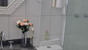 Tulipa - Photo 3