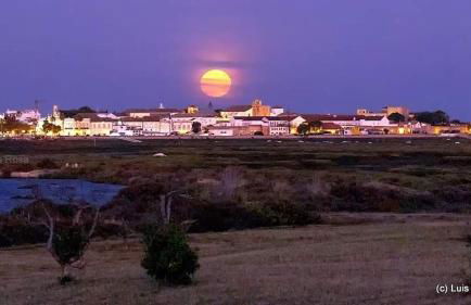 OmniaX Apartment - Foto 41